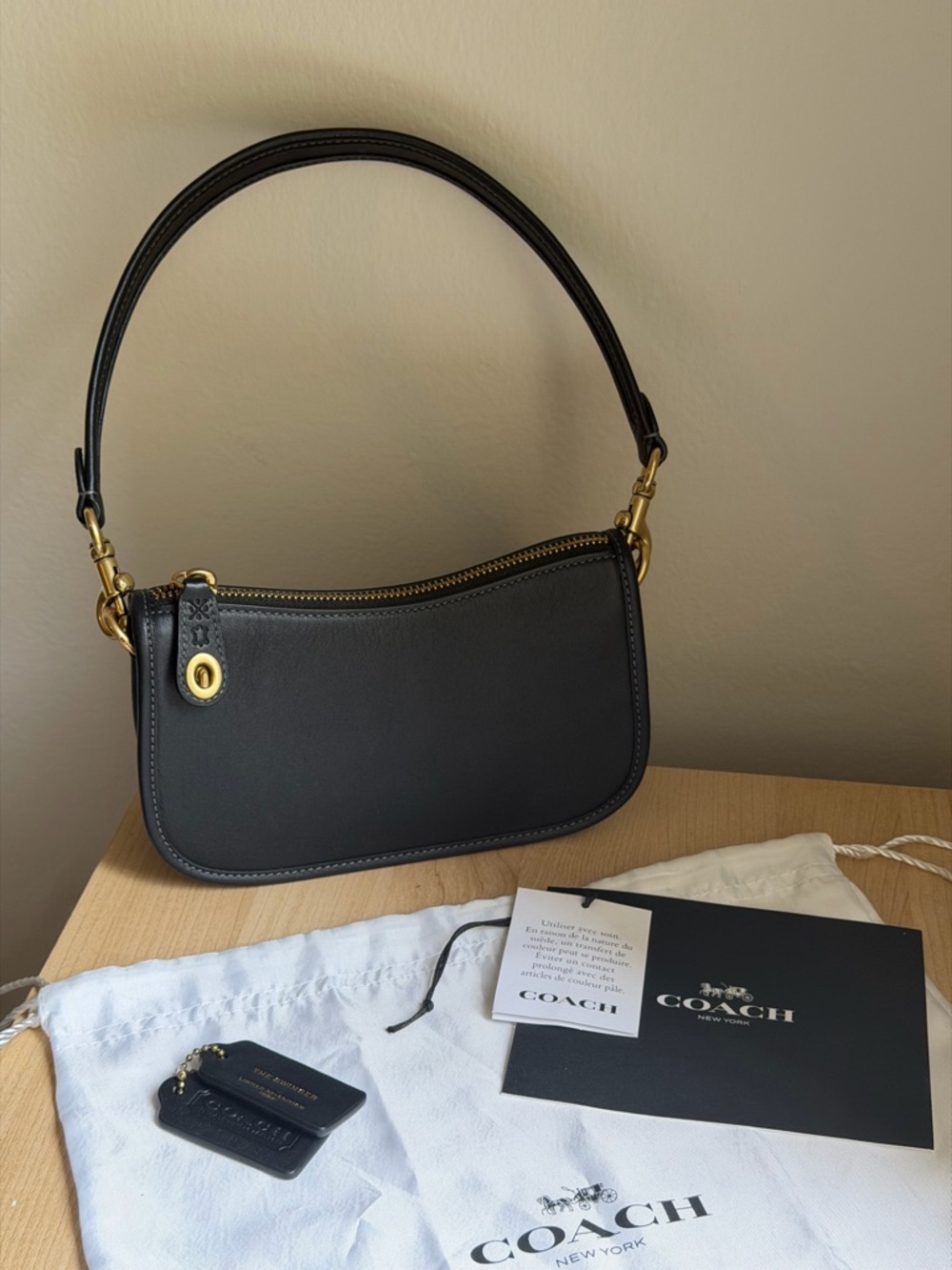 COACH Swinger Bag 20